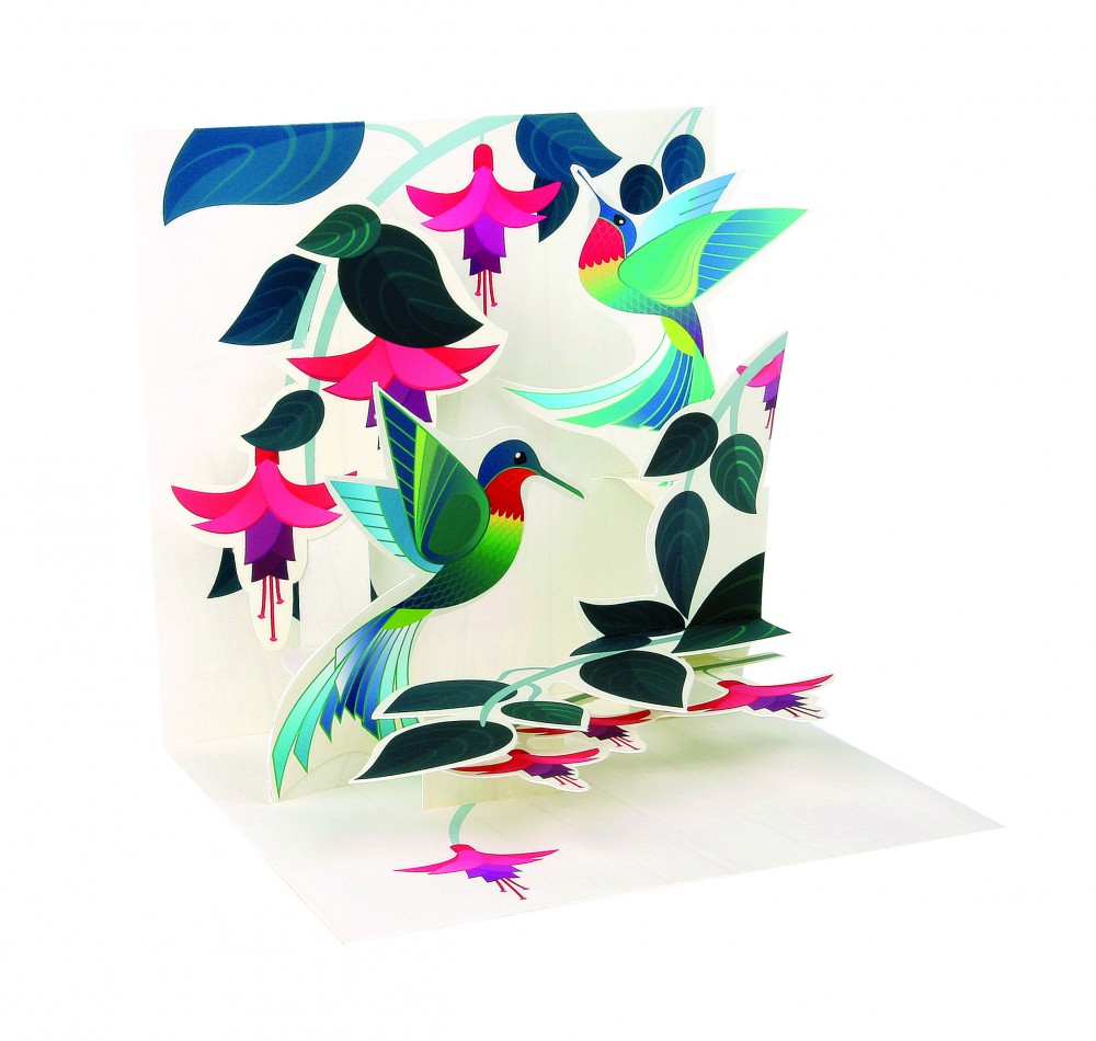 Pop Up 3D Geburtstags Liebe Grußkarte PopShot Paradies Vögel 13x13cm