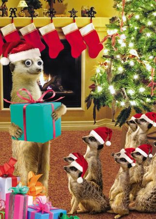 Weihnachten Humor Grusskarte Googlies Wackelaugen Erdmannchen