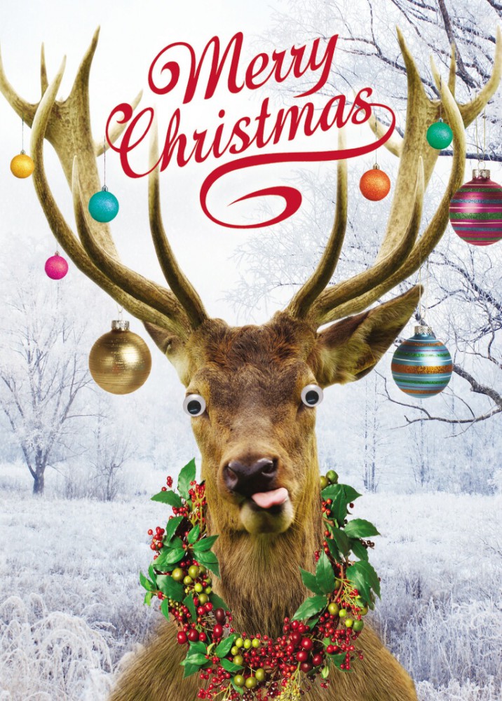 Brainbox Candy Lustige Weihnachtskarte – "Merry Christmas Cat