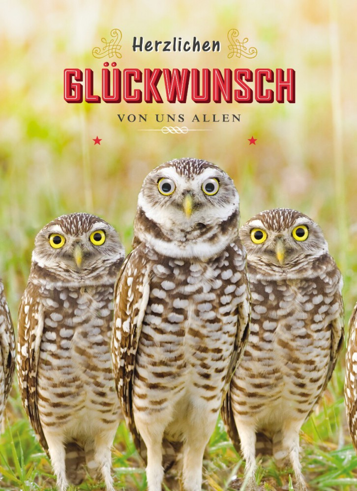 Glückwünsche Witzig