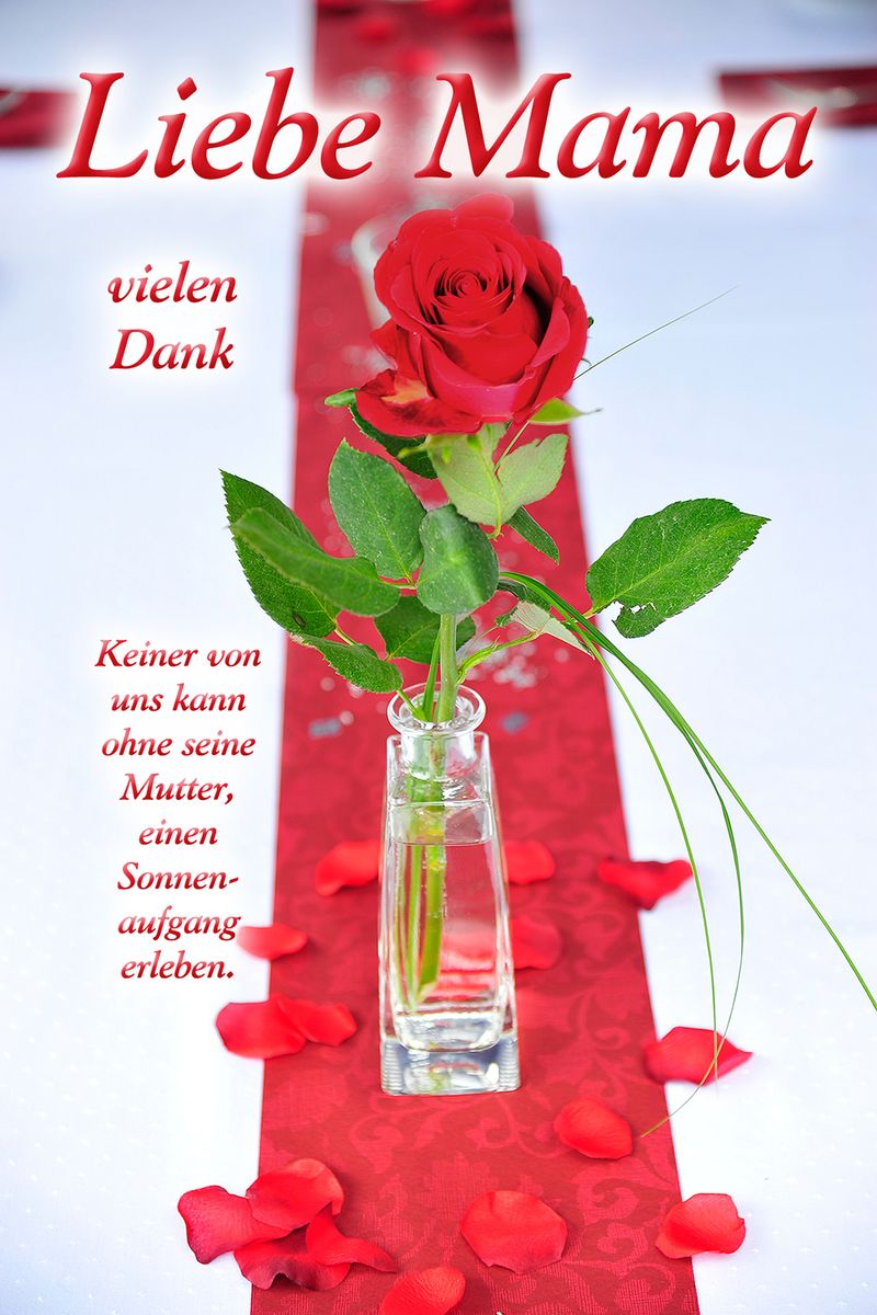Muttertag Geburtstag Yabue Foto Karte Grußkarte Mama Rose 16x11cm 1 2 3 Geburtstag