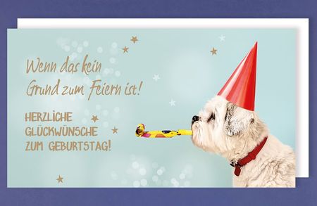 Geburtstag XL Karte Grußkarte Hund Tröte 22x11cm