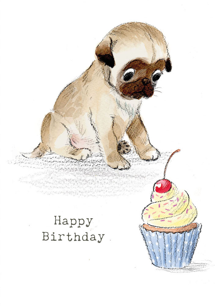 MOGGI HAT GEBURTSTAG visual data 7