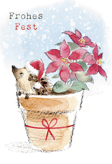 Weihnachten Karte Grukarte Gezeichnet Igel Weihnachtsstern Frohes Fest  17x12cm | PopShot