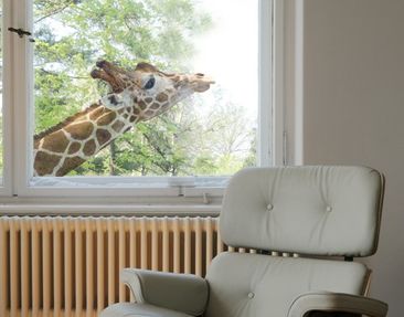 Product picture Window Sticker no.302 searching giraffe