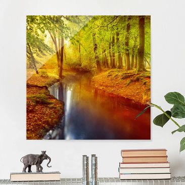 Glasbilder Wandbild Druck auf Glas Herbstwald