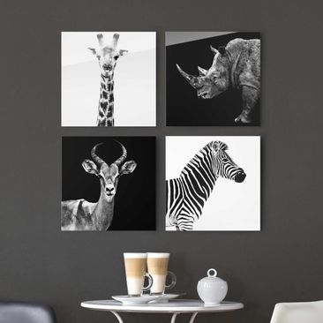 Animal Glass Wall Art Prints On Glass