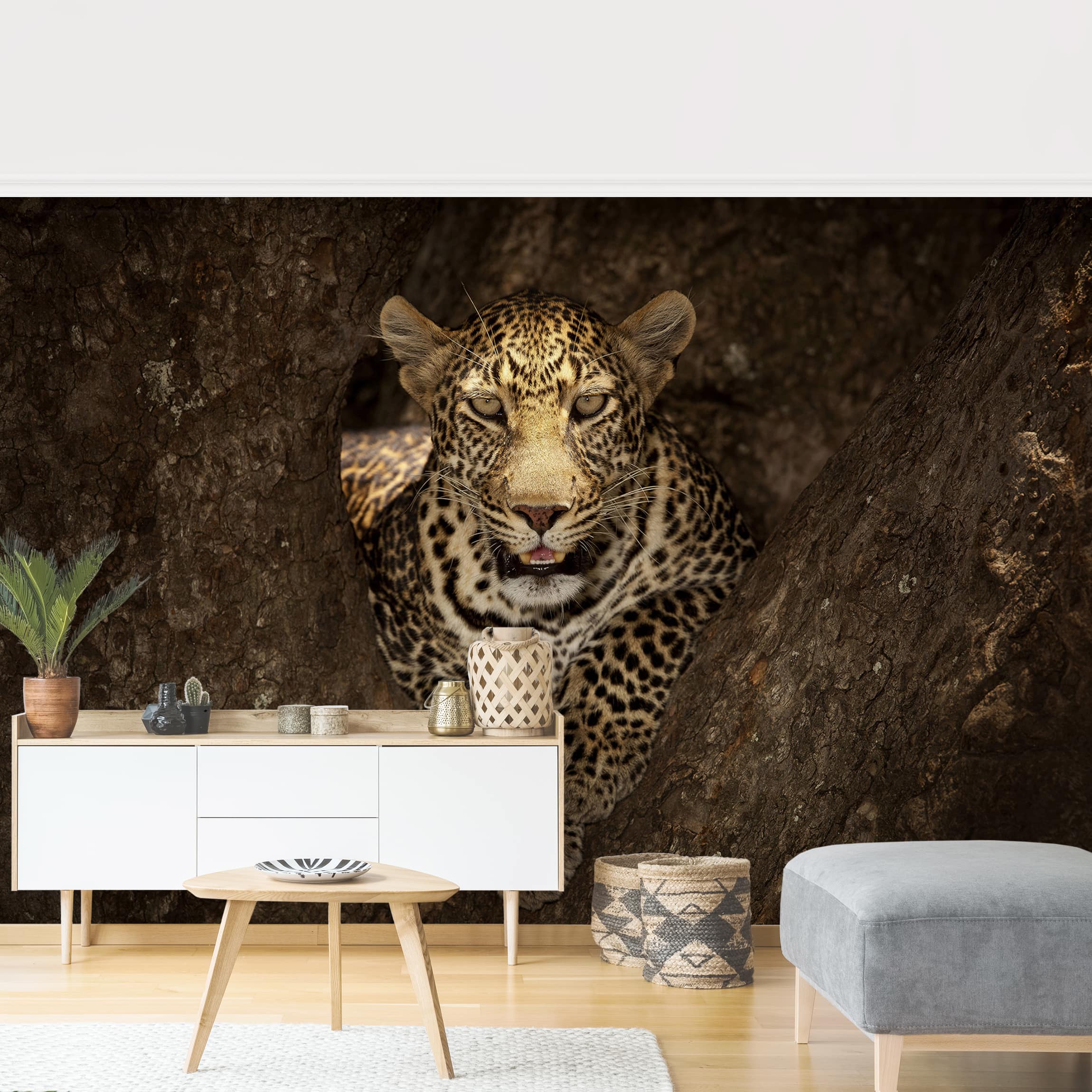 Tapete selbstklebend Weißer Tiger Fototapete Vliestapete Wandbild
