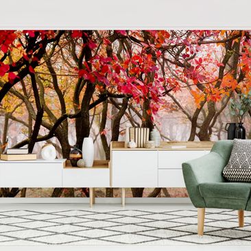 Schlafzimmer Tapeten | Schlafzimmer einrichten | Bilderwelten Schlafzimmer Tapeten | Schlafzimmer einrichten | Bilderwelten