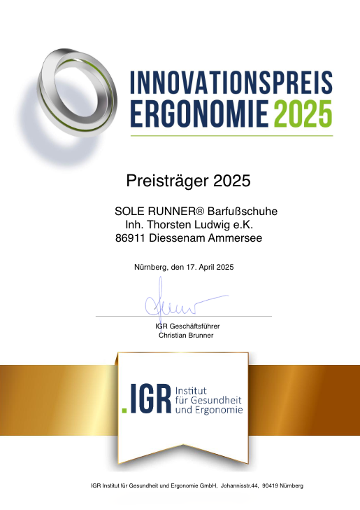 Innovationspreis 2025 Urkunde