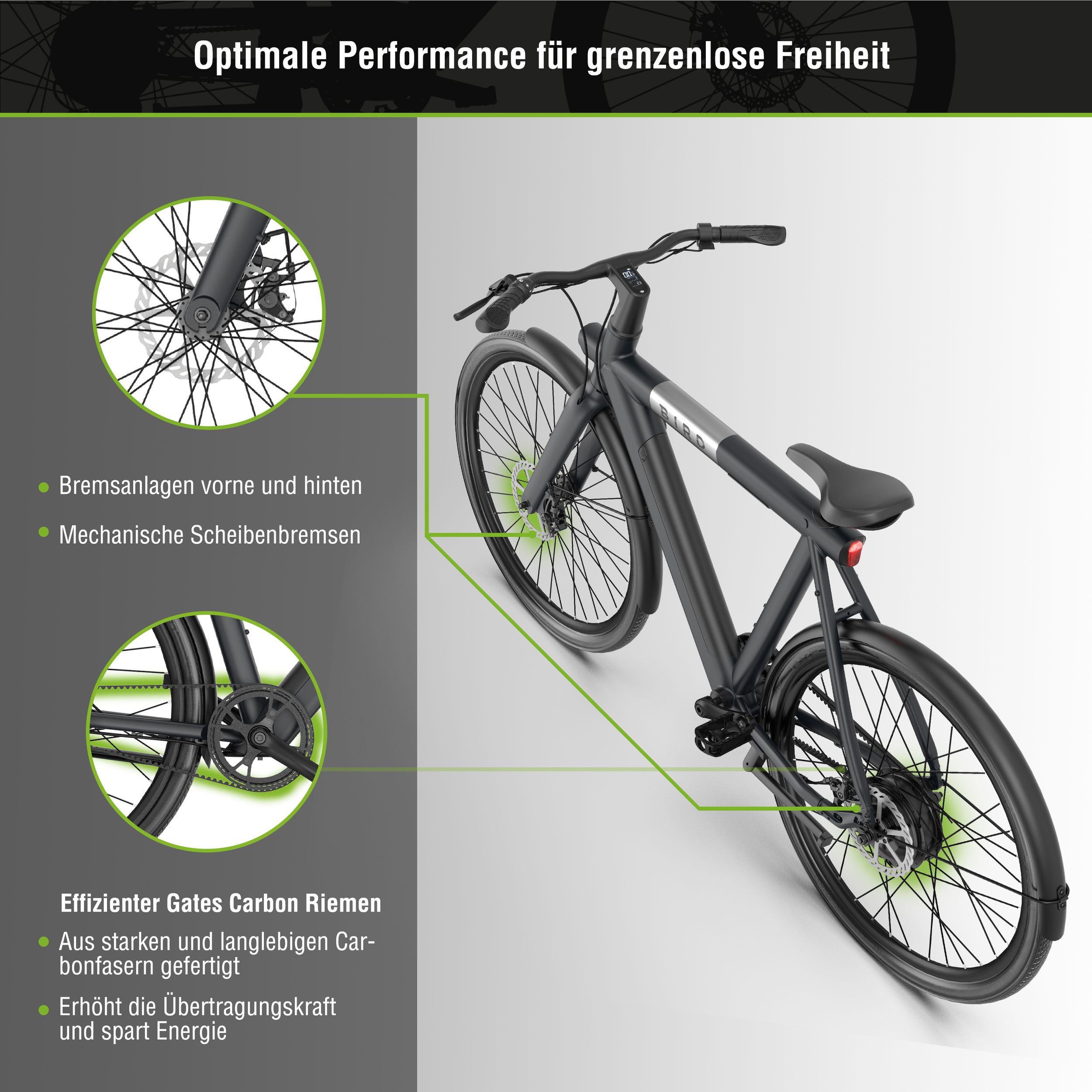SachsenRAD xBird C6R Connect Urban E-City-Bike  mit Riemenantrieb | LEICKE  GmbH