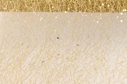 0820-81.jpg 0820-81.jpg