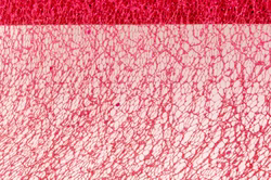 0820-82.jpg 0820-82.jpg