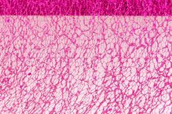 0820-85.jpg 0820-85.jpg