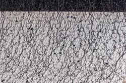 0820-90.jpg 0820-90.jpg