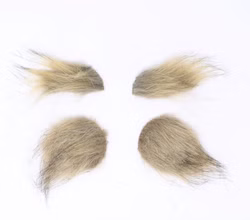 11553a1.jpg 11553a1.jpg