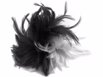 995992039-Haarclip-Feder-sw-weiss-Kopie1.jpg