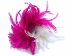 995992039-Haarclip-Feder-pink-weiss-Kopie.jpg 995992039-Haarclip-Feder-pink-weiss-Kopie.jpg