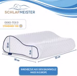 SCHLAFMEISTER--MOTH--2-.jpg