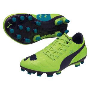 puma evospeed 2