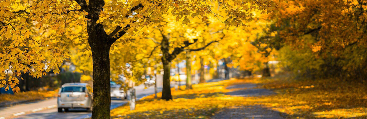 5 Tipps, sicher durch den Herbst zufahren! 5 Tipps, sicher durch den Herbst zufahren!