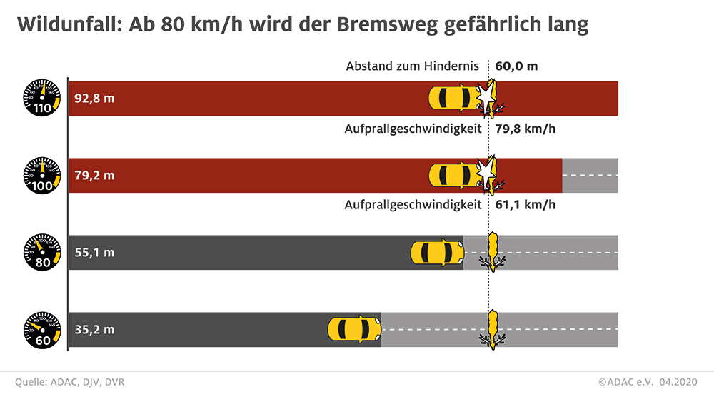 Infografik: Bremswege - Wildunfall