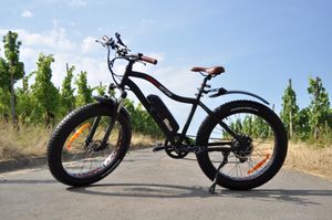 metall pedale Union SP-2150 Pedale Silber – Simple Bike Store