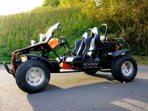 Schone Gelande Buggy Straenzulassung Ebenbild