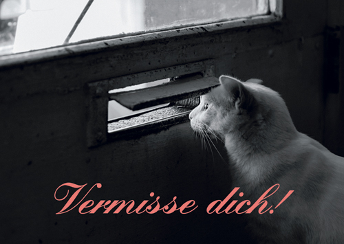 Postkarte A6 +++ LUSTIG +++ VERMISSE DICH! Ceres