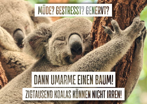 Postkarte A6 +++ LUSTIG +++ UMARME EINEN BAUM! Ceres