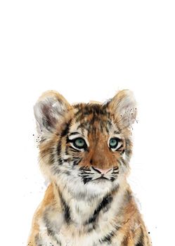 Get Tiger sprueche For Android Free Tiger Sprueche