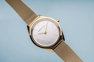 BERING 17031-334 Orologio unisex al quarzo, orologio da | WhichOne