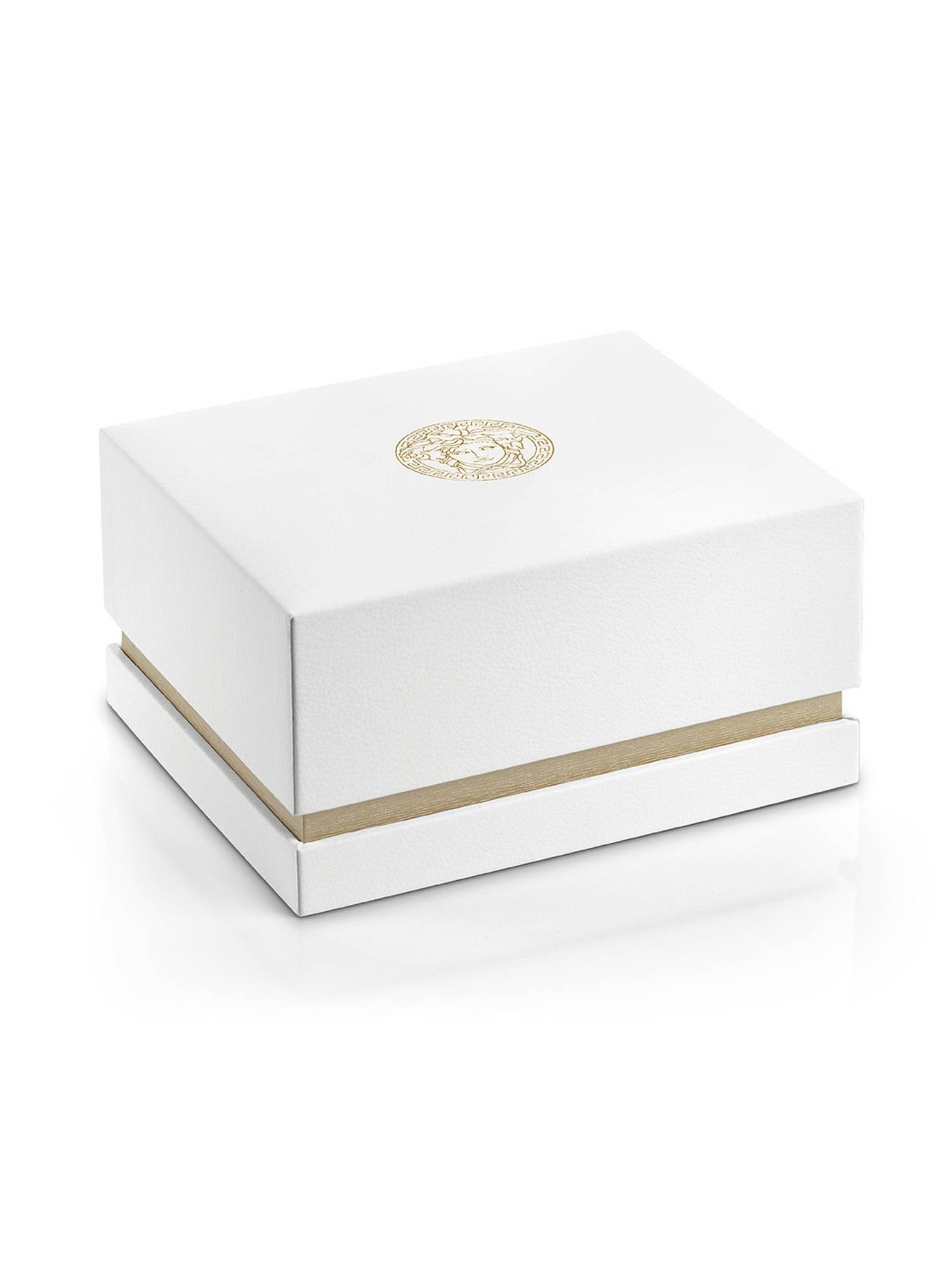 Versace Heren Polshorloge UNIVERS QTZ 41 mm Riem Roestvrij Staal VE2C005 21  | horlogekamer24