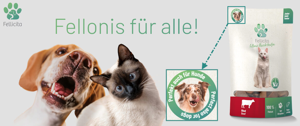 Fellicita Fellonis Snacks Leckerlie für Hunde und Katzen, Fleischstreifen Rind pur