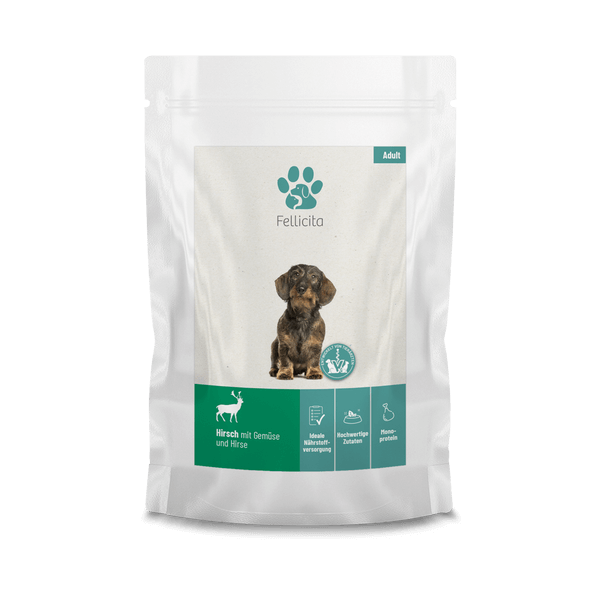 Hundenassfutter Probierpaket 100g/200g fr adulte Hunde | Fellicita