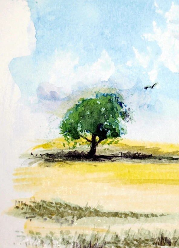 Günstige Aquarellfarben kaufen