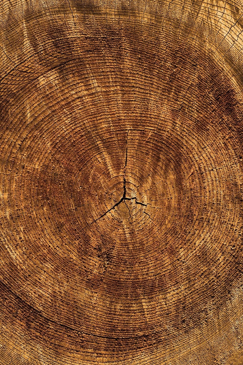 Bastelmaterial Holz zum Basteln in Grundschulen kaufen