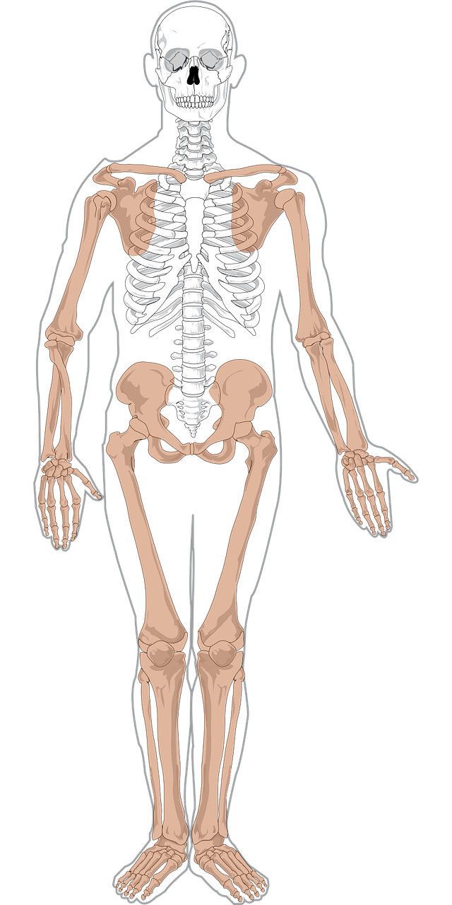 Humanbiologie Schule - Unterrichtsmaterial kaufen