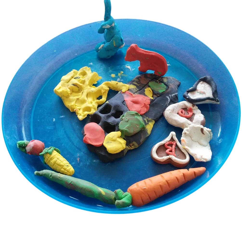 Knete für Kindergarten und Kita kaufen