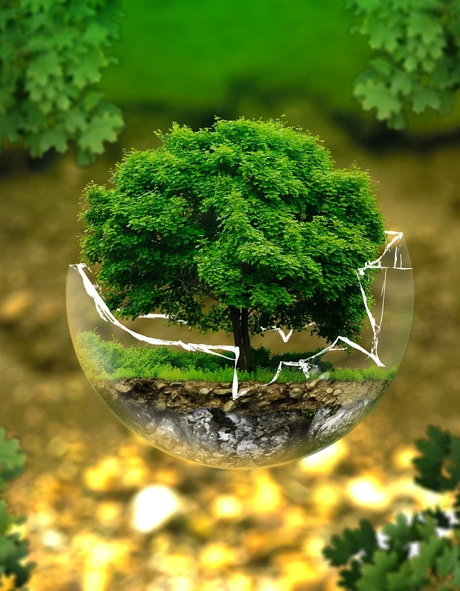 Arbeitsblätter und Kopierblätter Natur und Umwelt für Kindergarten kaufen