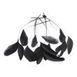 Hahnenfedern - Coquetips Federn schwarz - Bastelfedern ca. 20cm, 15 Stück