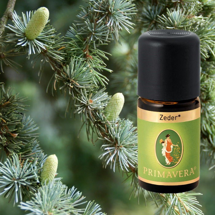 Primavera Olio Essenziale Biologico Al Lavandino Spigo (Speiklavendel) 5ml - Puro, Rinfrescante, Per Diffusori E Massaggi