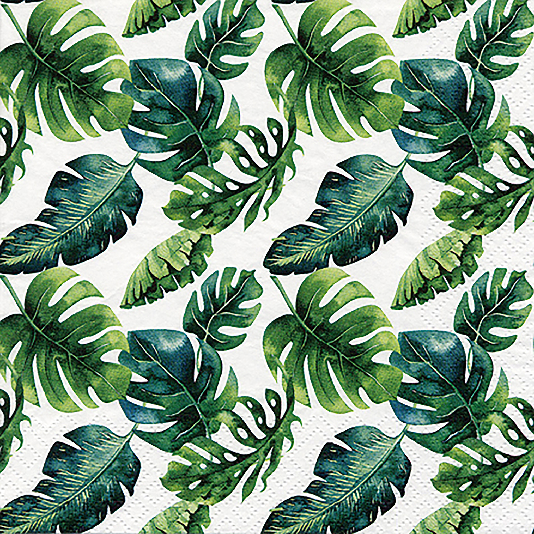 philodendron dark lord vs majesty Philodendron 'Black Majesty'  Green Mirrors