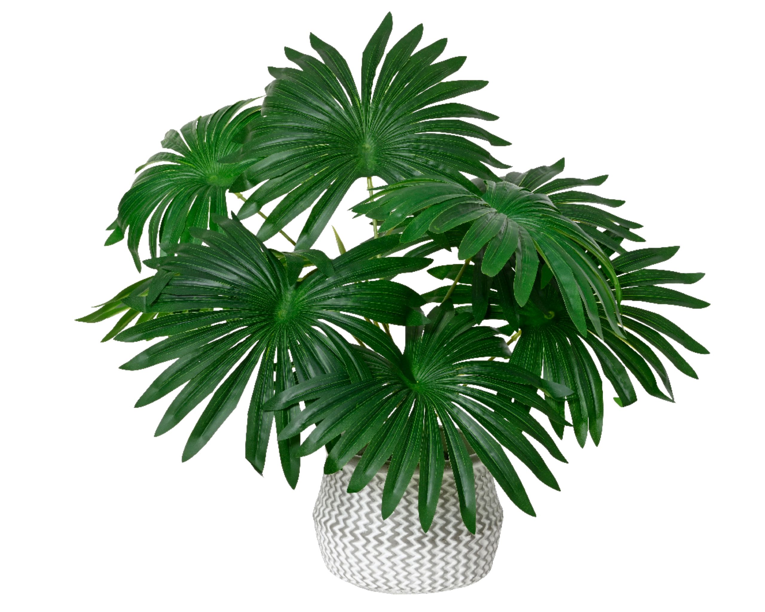 erde für kirschlorbeer kaufen Portugiesischer Kirschlorbeer (Prunus lusitanica 'Angustifolia') | 180 cm  Fertighecke main image 1