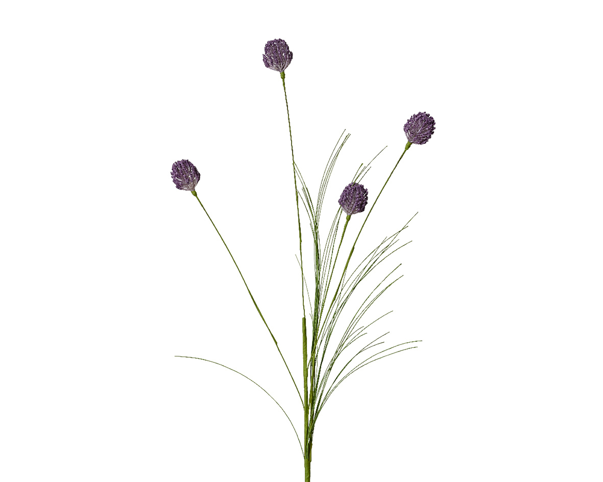 schleierkraut kranz künstlich Trockenblumenkranz Schleierkraut main image 0