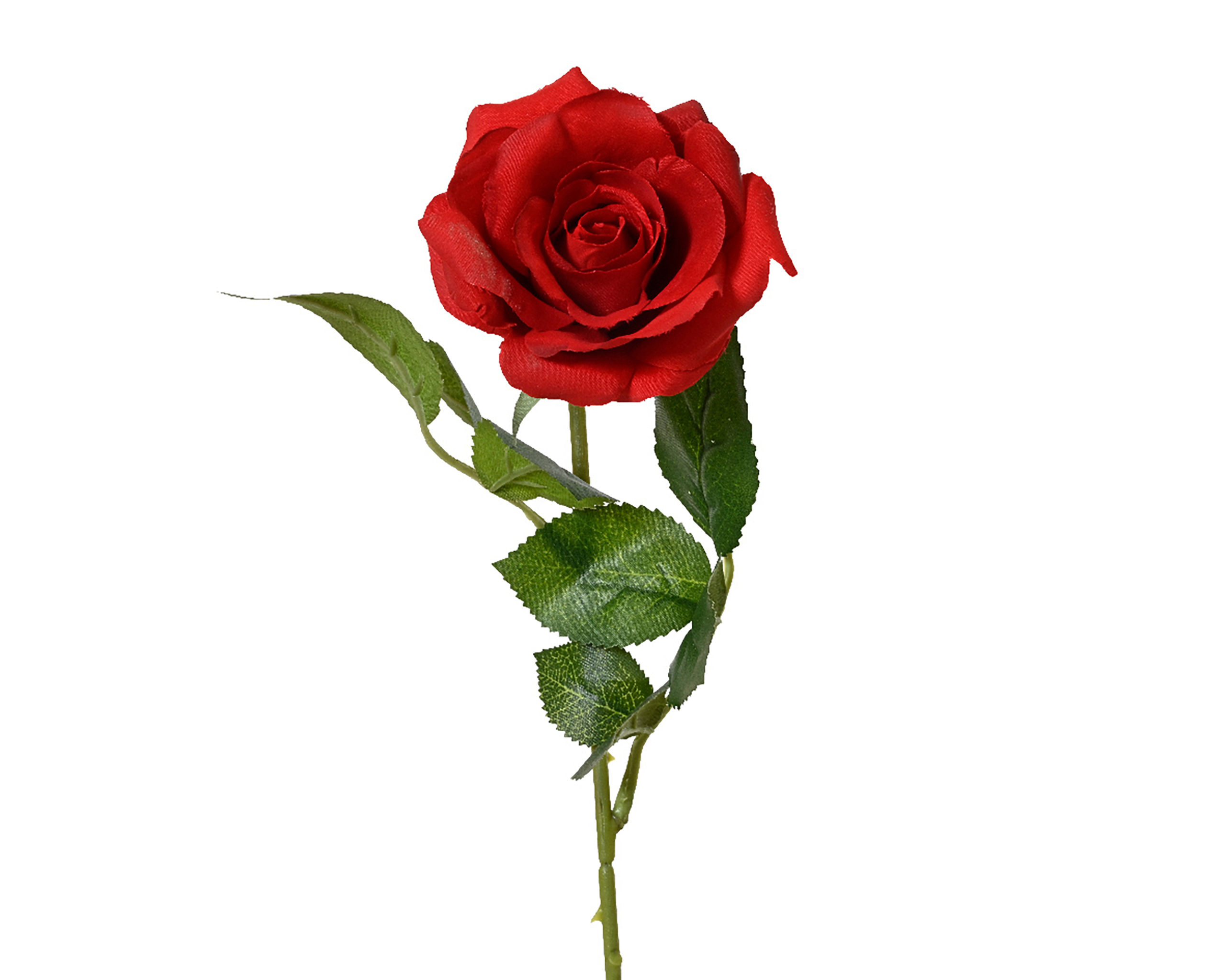 Knstliche Rose mit Stiel 8x55cm Rot, | Kreativmarkt Butterfly