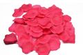 fuchsia 187