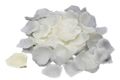 creme / ivory 820