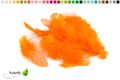orange 668