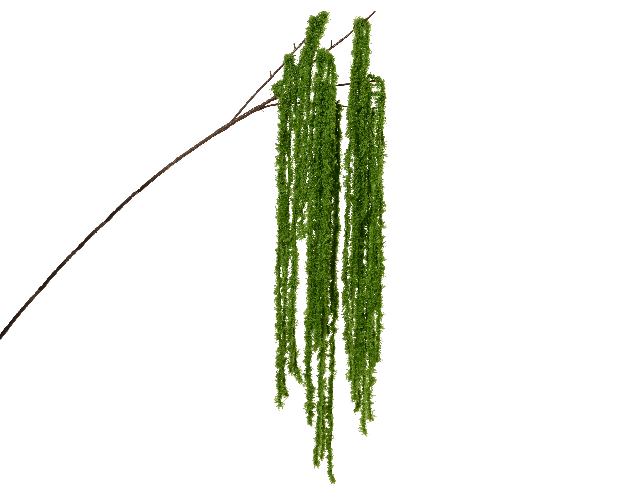Knstlicher Zweig Amaranth (Fuchsschwanz) 5x15x80cm Kunststoff Grn |  Kreativmarkt Butterfly